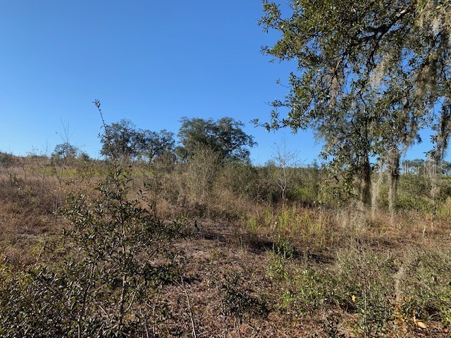3288 Masterpiece Road Lake Wales FL 33898 S5133337 image13