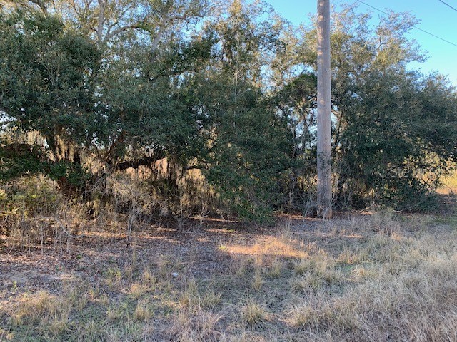 3288 Masterpiece Road Lake Wales FL 33898 S5133337 image2