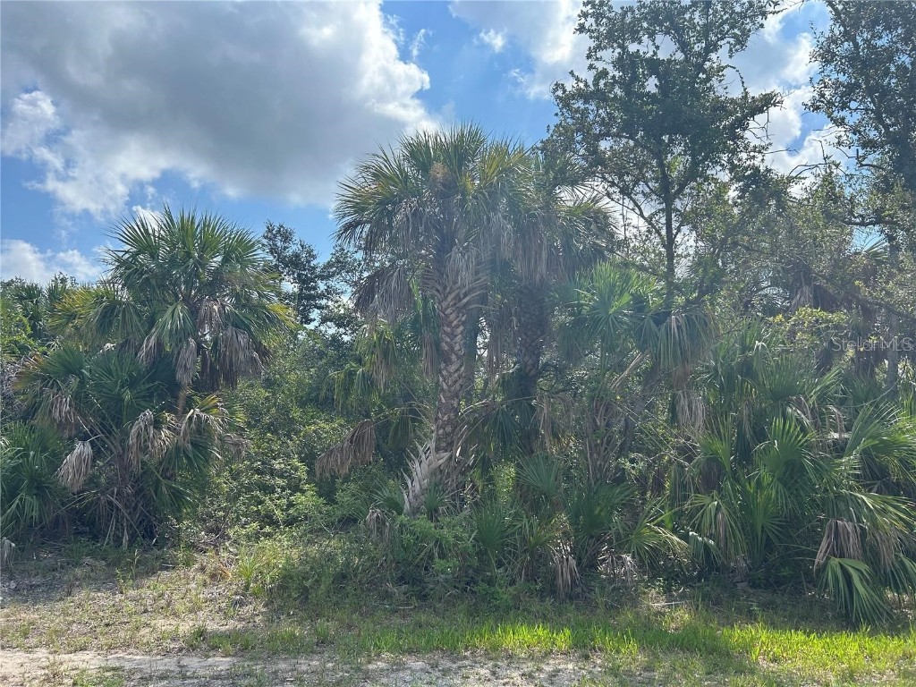 3288 Monarch Street Port Charlotte FL 33948 C7499704 image4