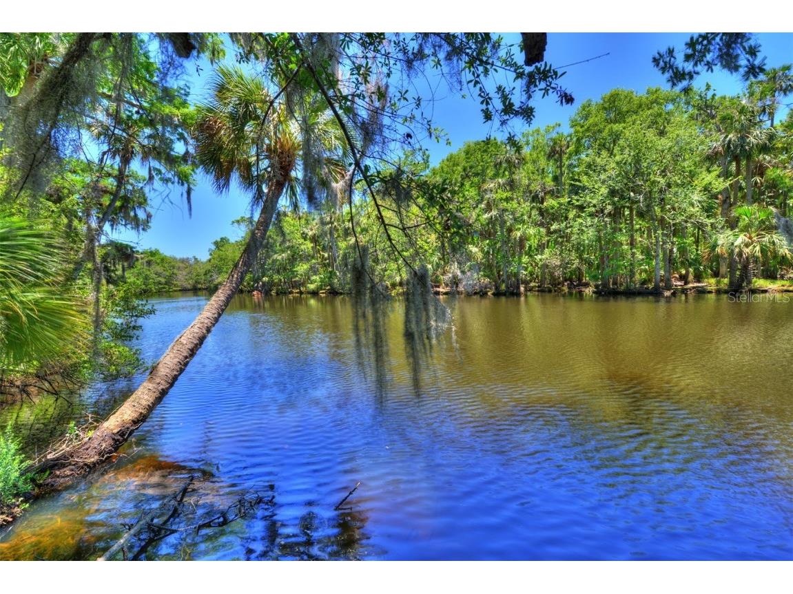 3288 Spruce Creek Glen Port Orange FL 32128 NS1085266 image36