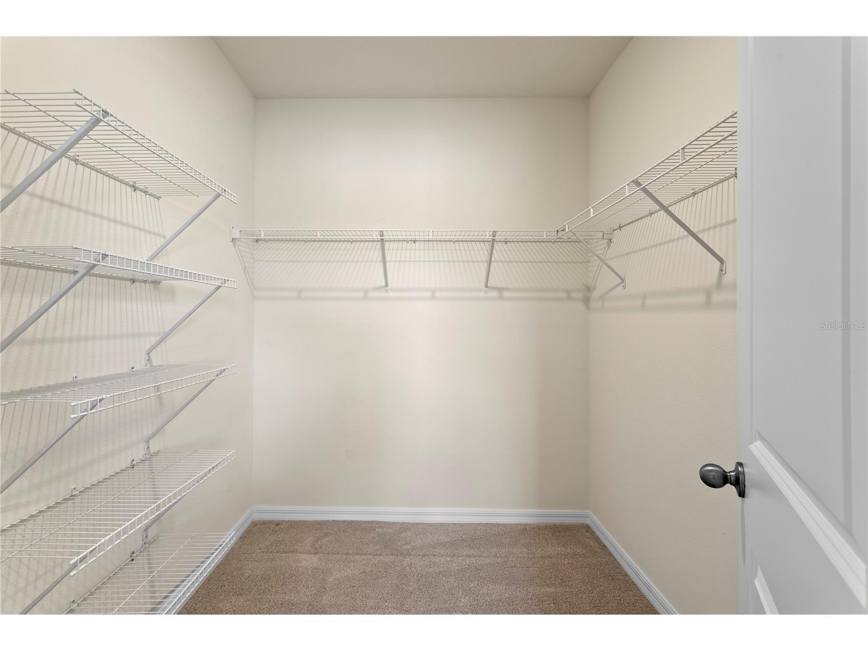 3288 Tucson Wind Place Odessa FL 33556 TB8522471 image41