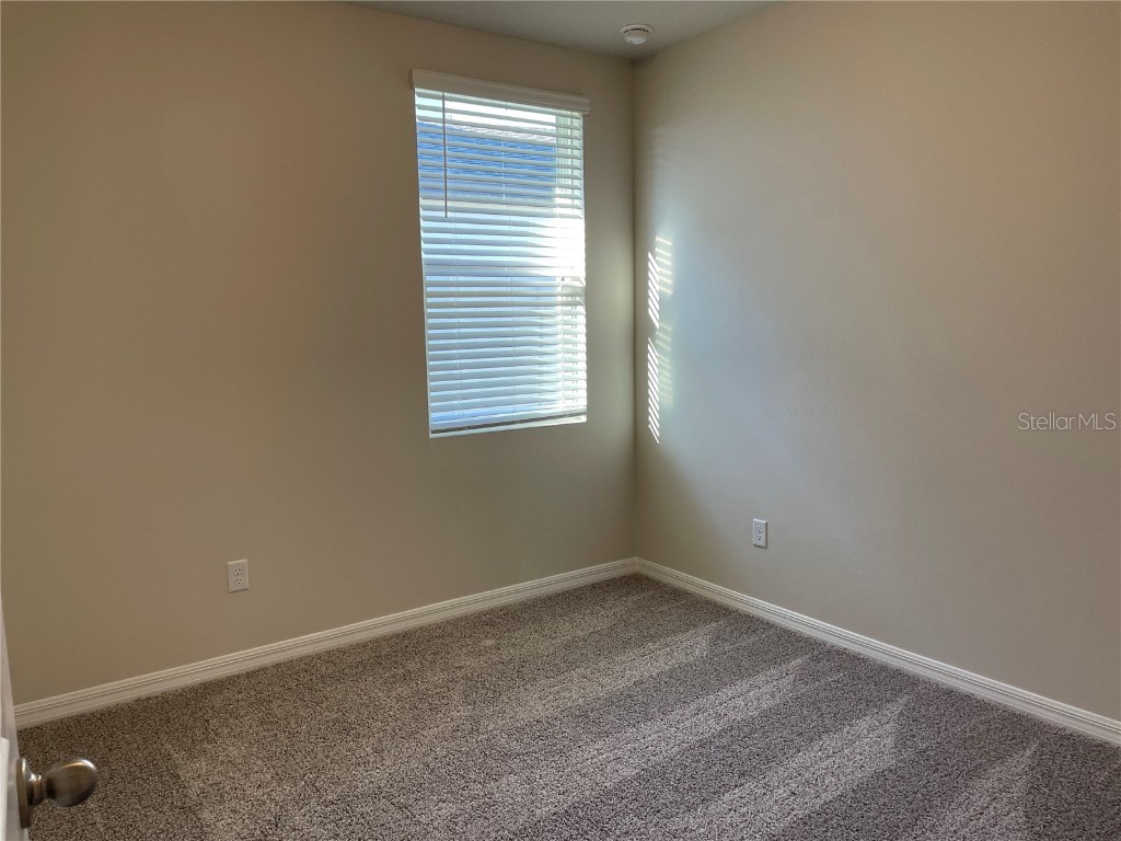 3289 Fresno Pl Zephyrhills FL 33541 TB8425100 image15