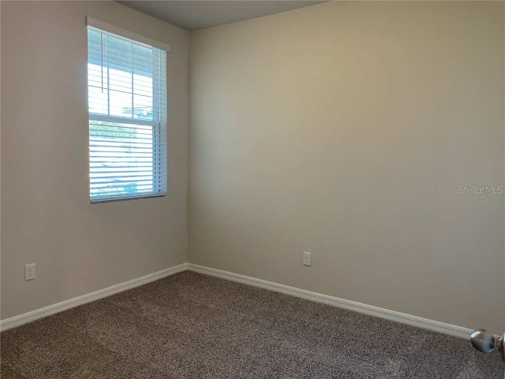 3289 Fresno Pl Zephyrhills FL 33541 TB8425100 image19