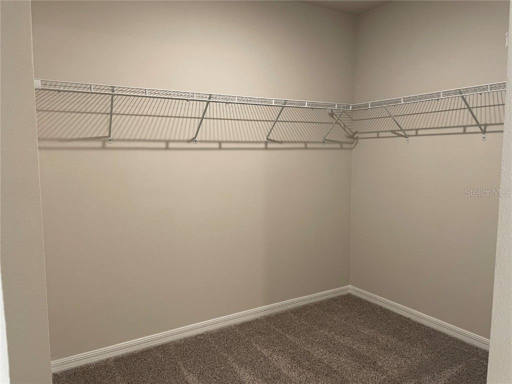 3289 Fresno Pl Zephyrhills FL 33541 TB8425100 image21