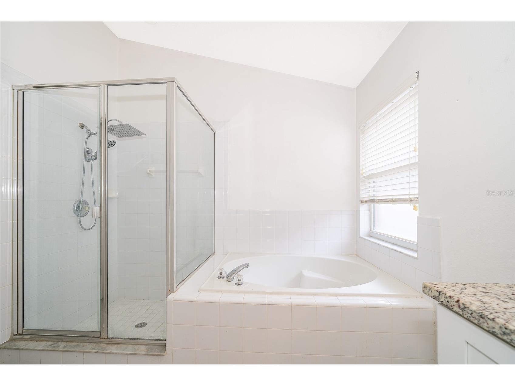 329 Atwell Lane Davenport FL 33897 O6407319 image17