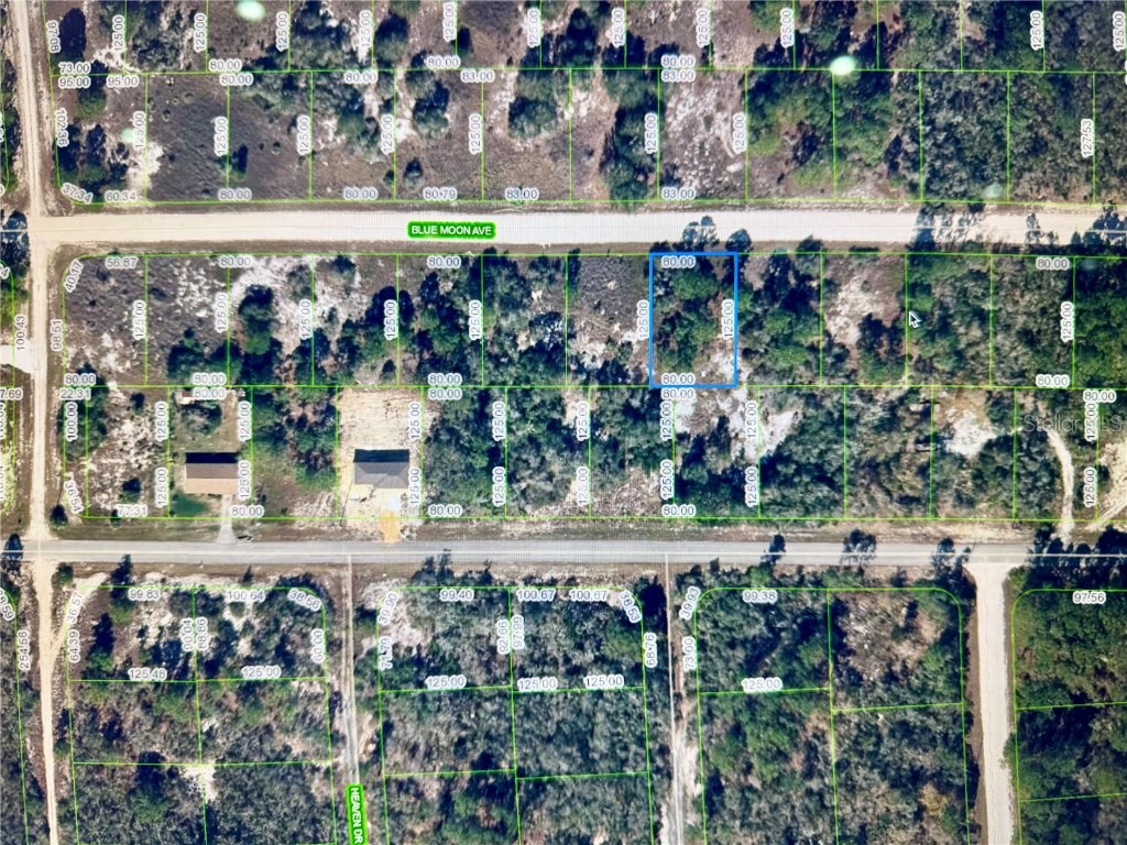 329 Blue Moon Avenue Lake Placid FL 33852 OM706391 image1