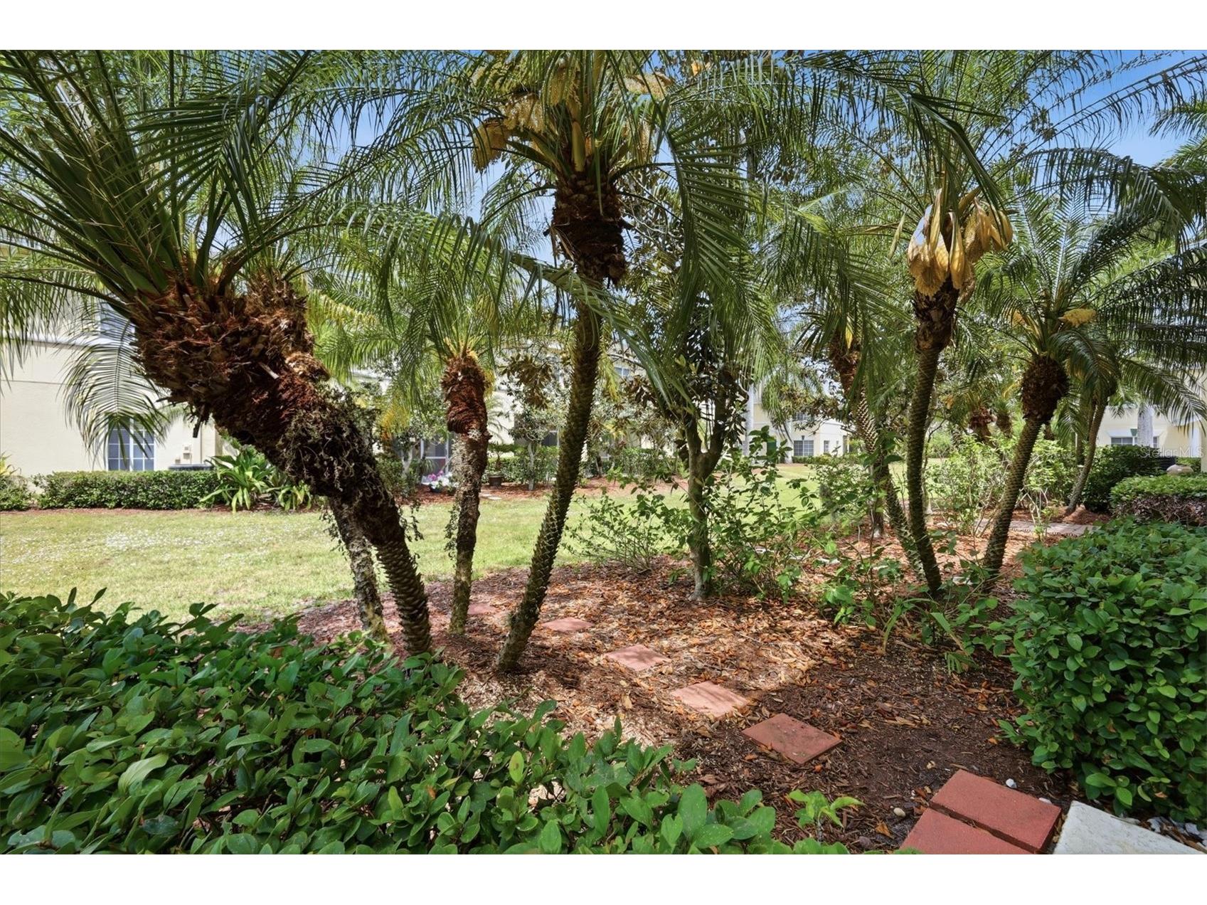 329 Cape Harbour Loop #103 Bradenton FL 34212 A4692429 image33