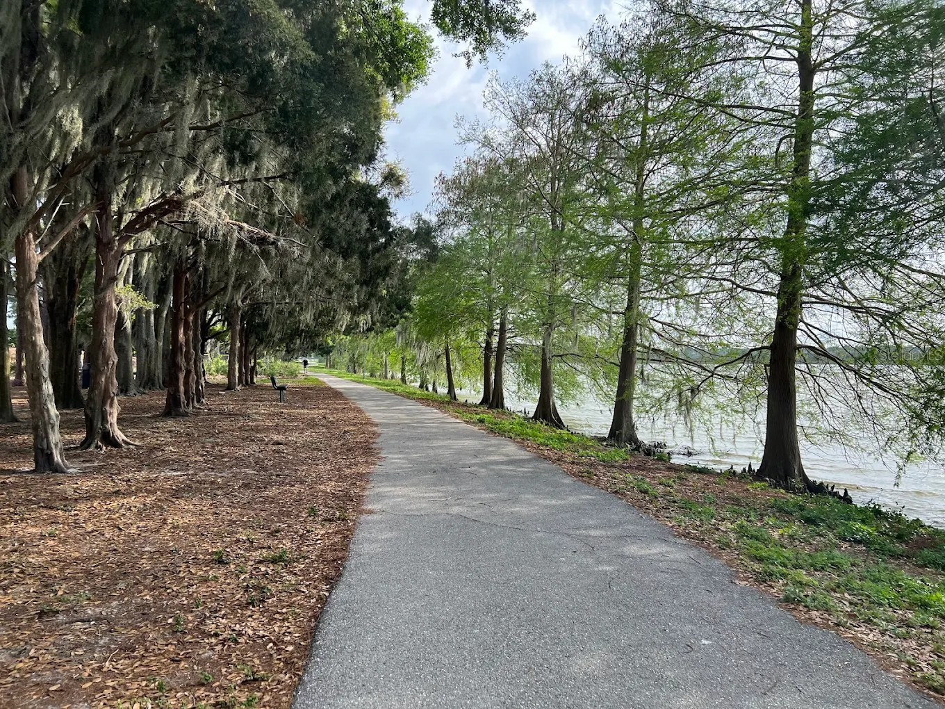 329 Cape Harbour Loop #103 Bradenton FL 34212 A4692429 image44