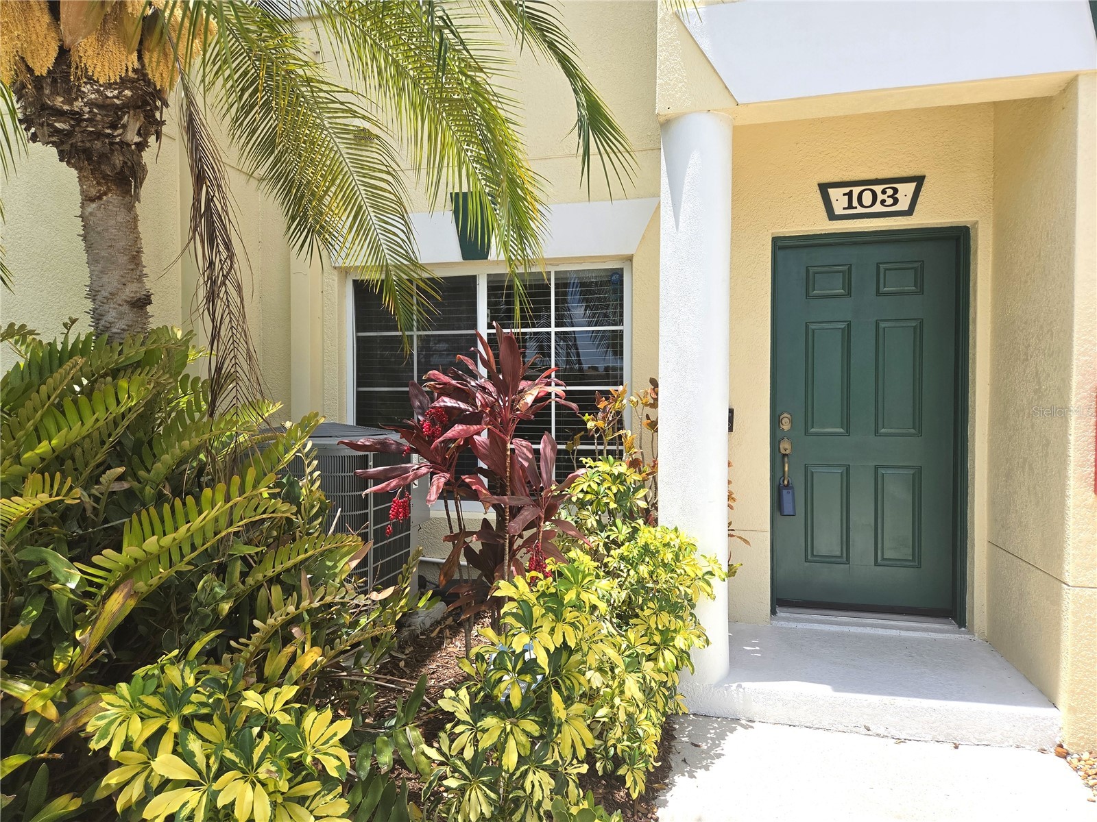 329 Cape Harbour Loop #103 Bradenton FL 34212 A4692429 image6