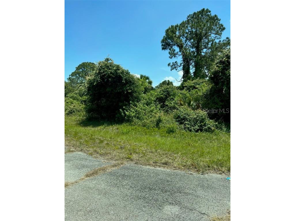329 Charles Duke Place Labelle FL 33935 U8203605 image1