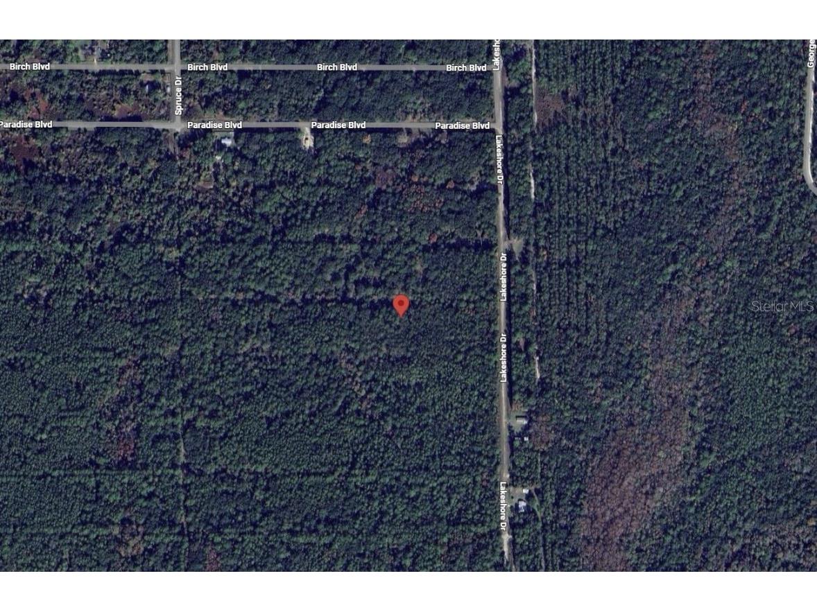329 Chipola Drive Georgetown FL 32139 OK225578 image1