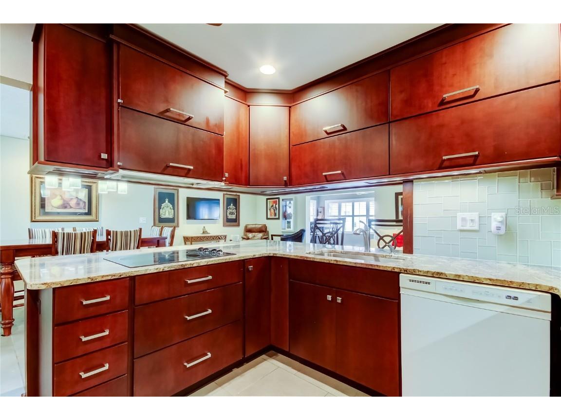 329 Club Manor Drive Sun City Center FL 33573 TB8427286 image16