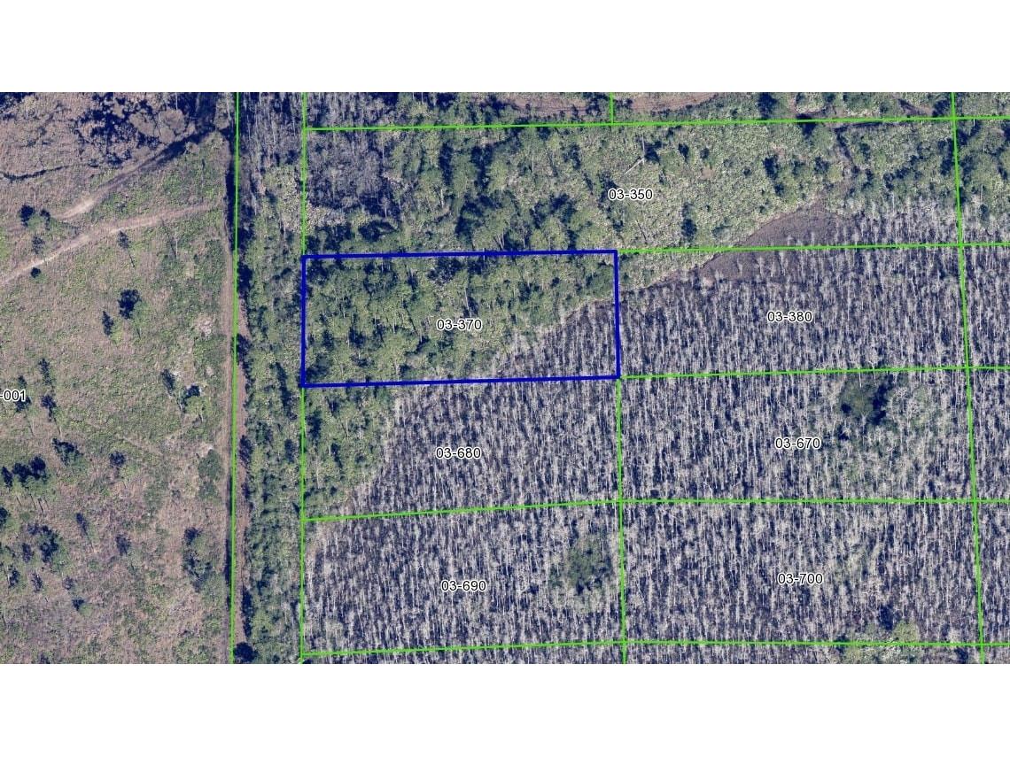 329 Dill Road Orlando FL 32820 O6249117 image1