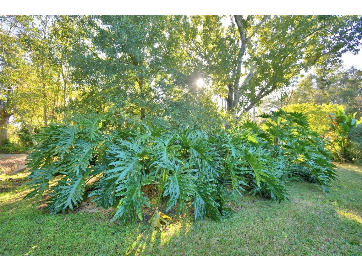 329 El Dorado Winter Haven FL 33884 G5104713 image60