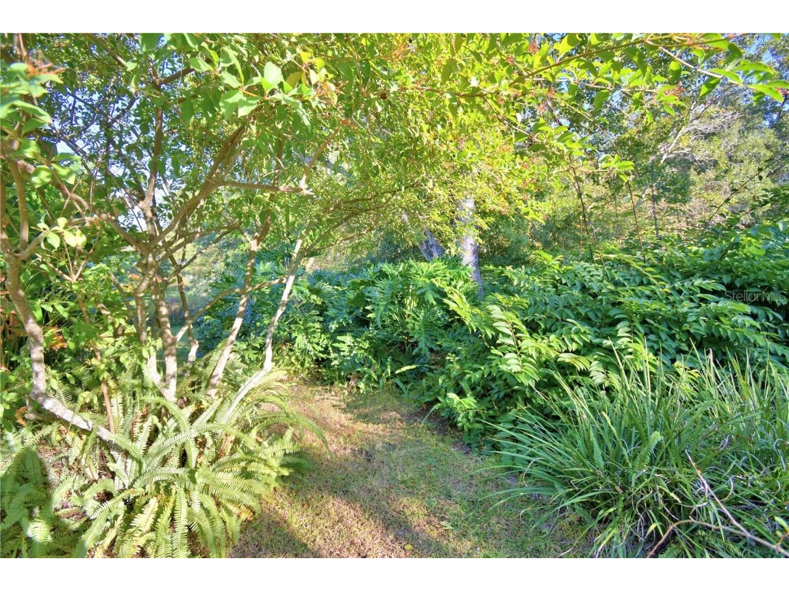 329 El Dorado Winter Haven FL 33884 G5104713 image65