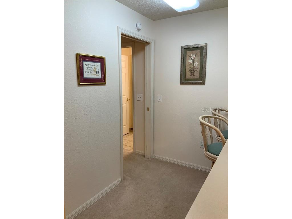 329 Genesis Pointe Drive #329 Lake Wales FL 33859 O6327657 image19