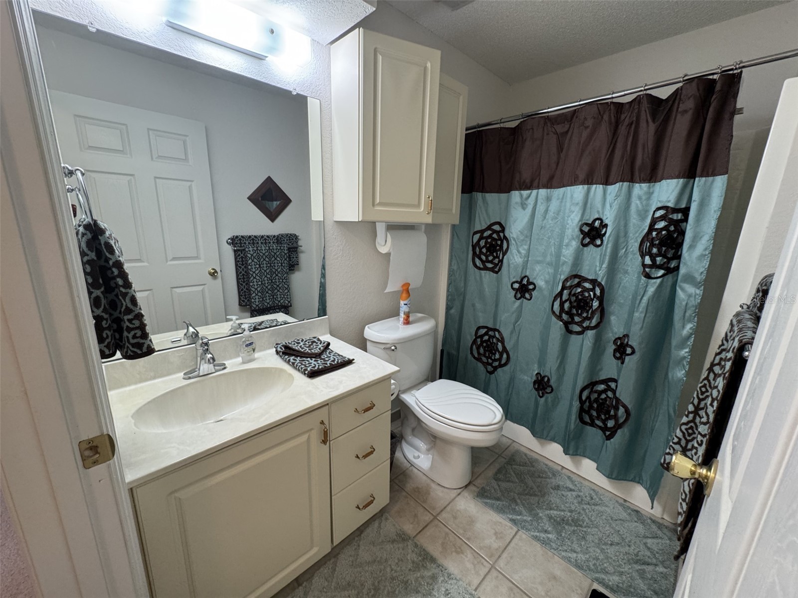 329 Genesis Pointe Drive #329 Lake Wales FL 33859 P4937497 image24
