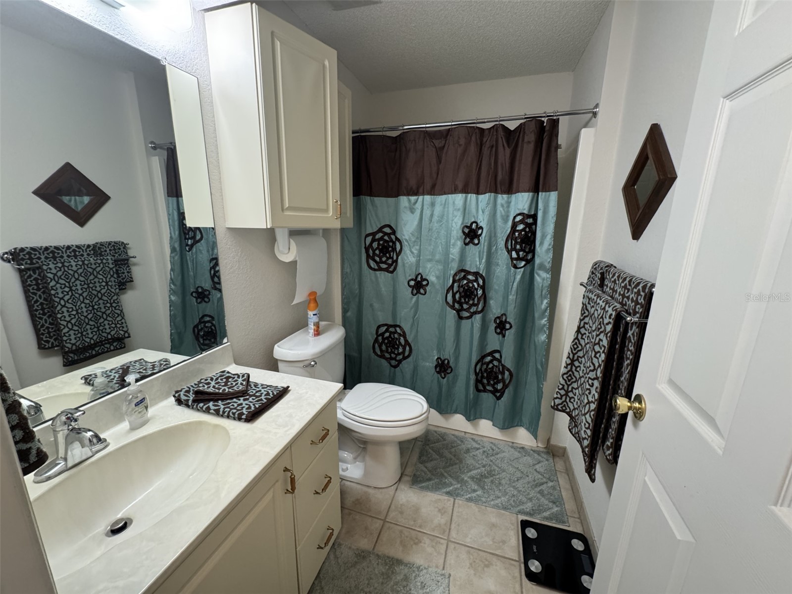 329 Genesis Pointe Drive #329 Lake Wales FL 33859 P4937497 image25