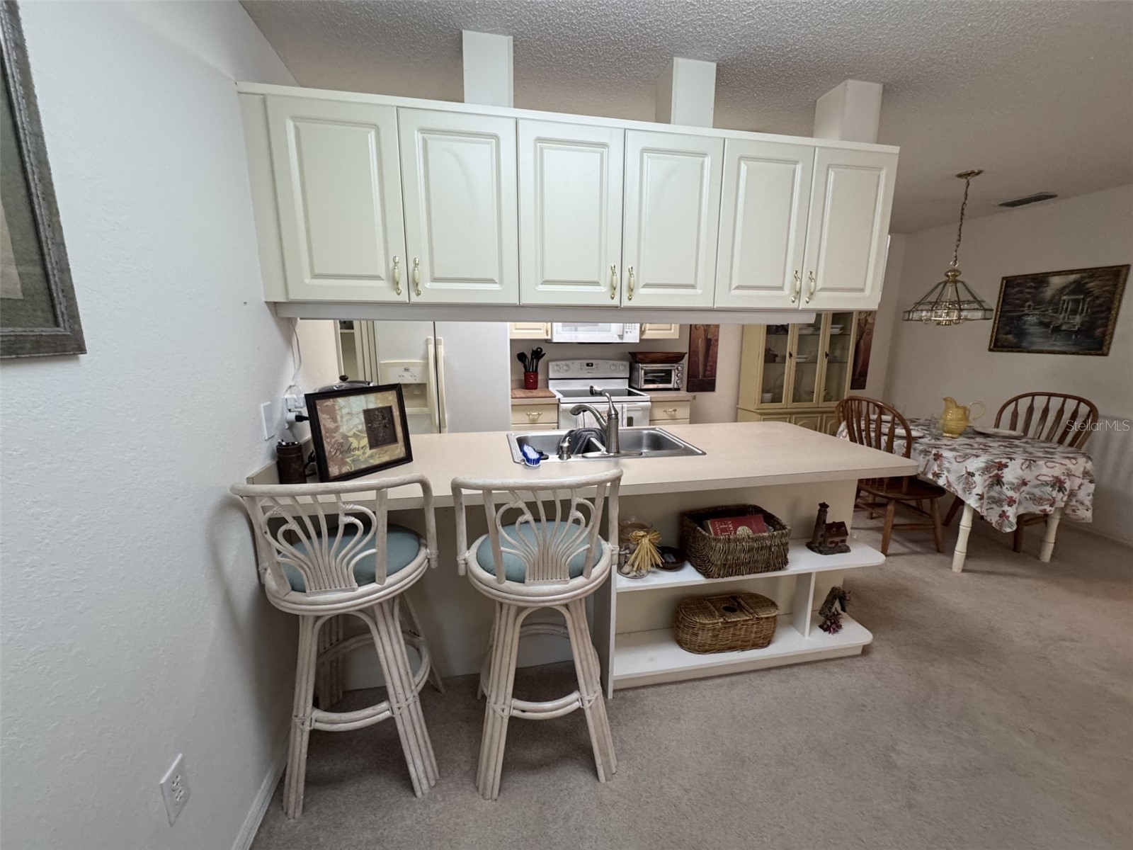 329 Genesis Pointe Drive #329 Lake Wales FL 33859 P4937497 image9