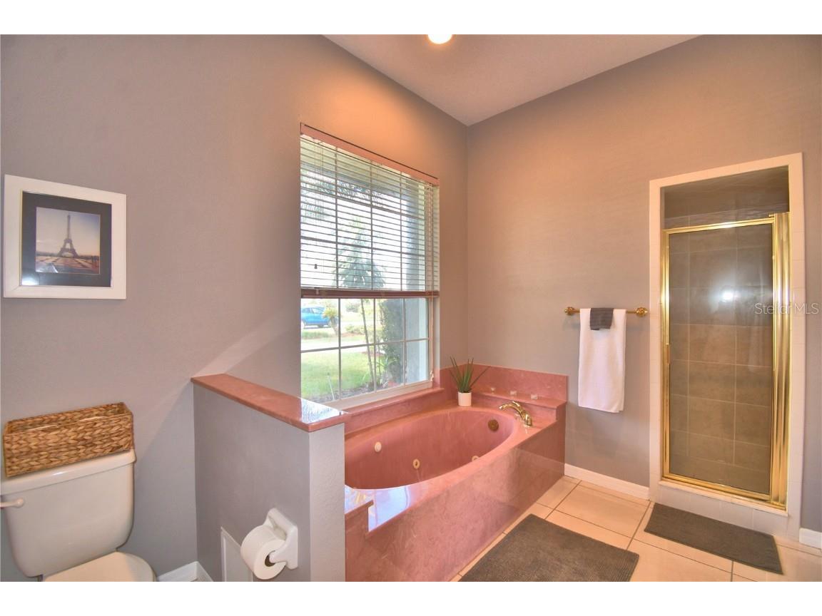 329 Hamilton Shores Drive NE Winter Haven FL 33881 - LAKE HAMILTON P4934289 image16