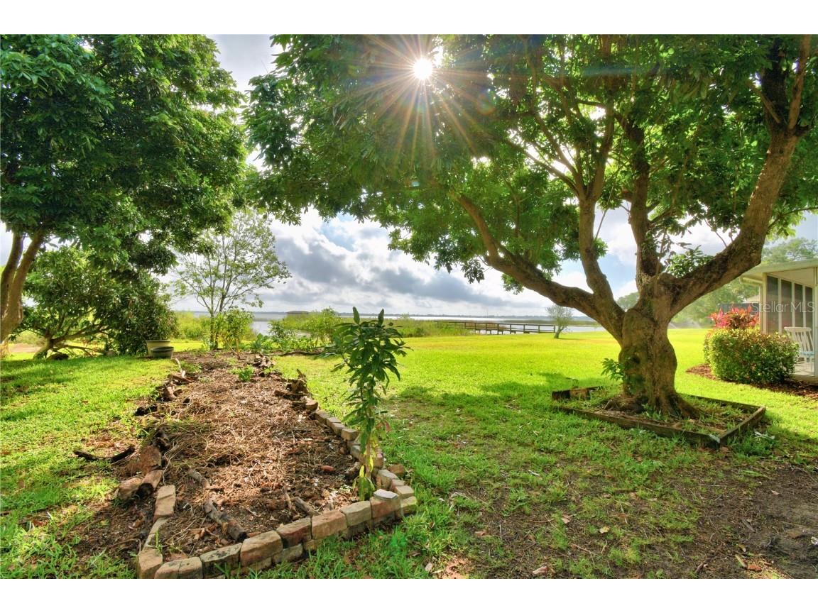 329 Hamilton Shores Drive NE Winter Haven FL 33881 - LAKE HAMILTON P4934289 image28