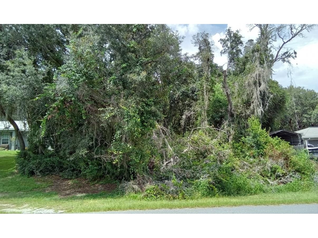 329 Larch Rd Ocala FL 34480 O6144321 image1