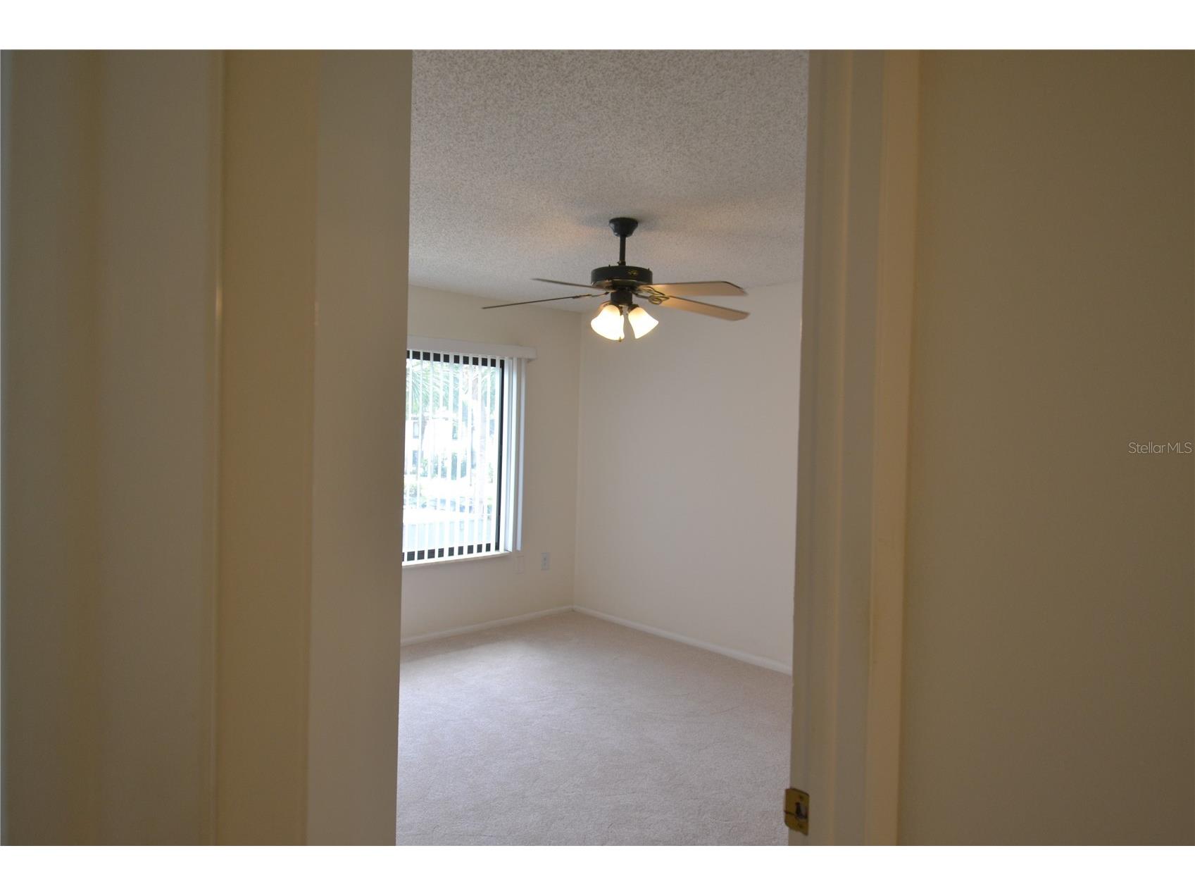 329 Moorings Cove Drive Tarpon Springs FL 34689 TB8510706 image19