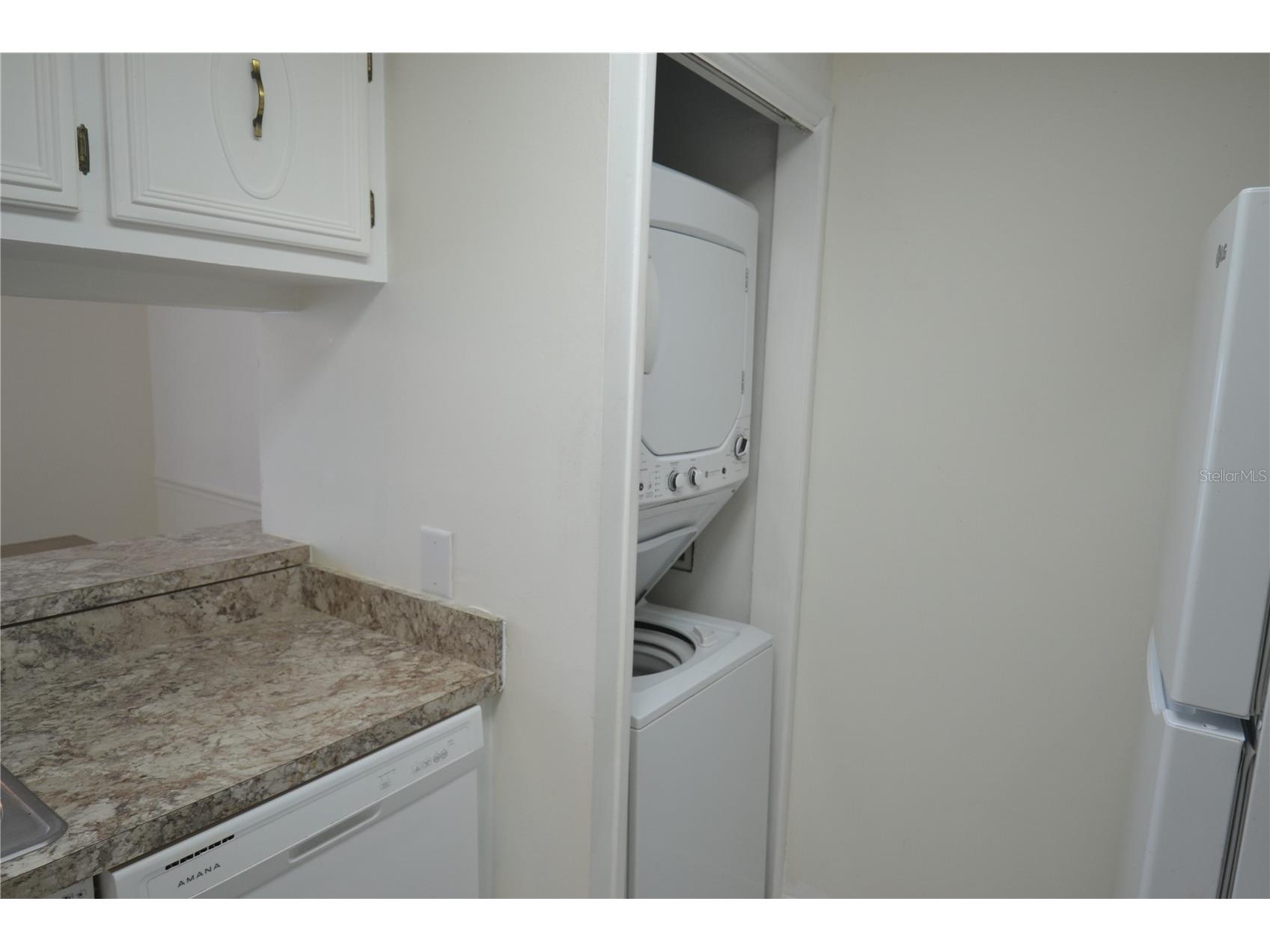 329 Moorings Cove Drive Tarpon Springs FL 34689 TB8510706 image4