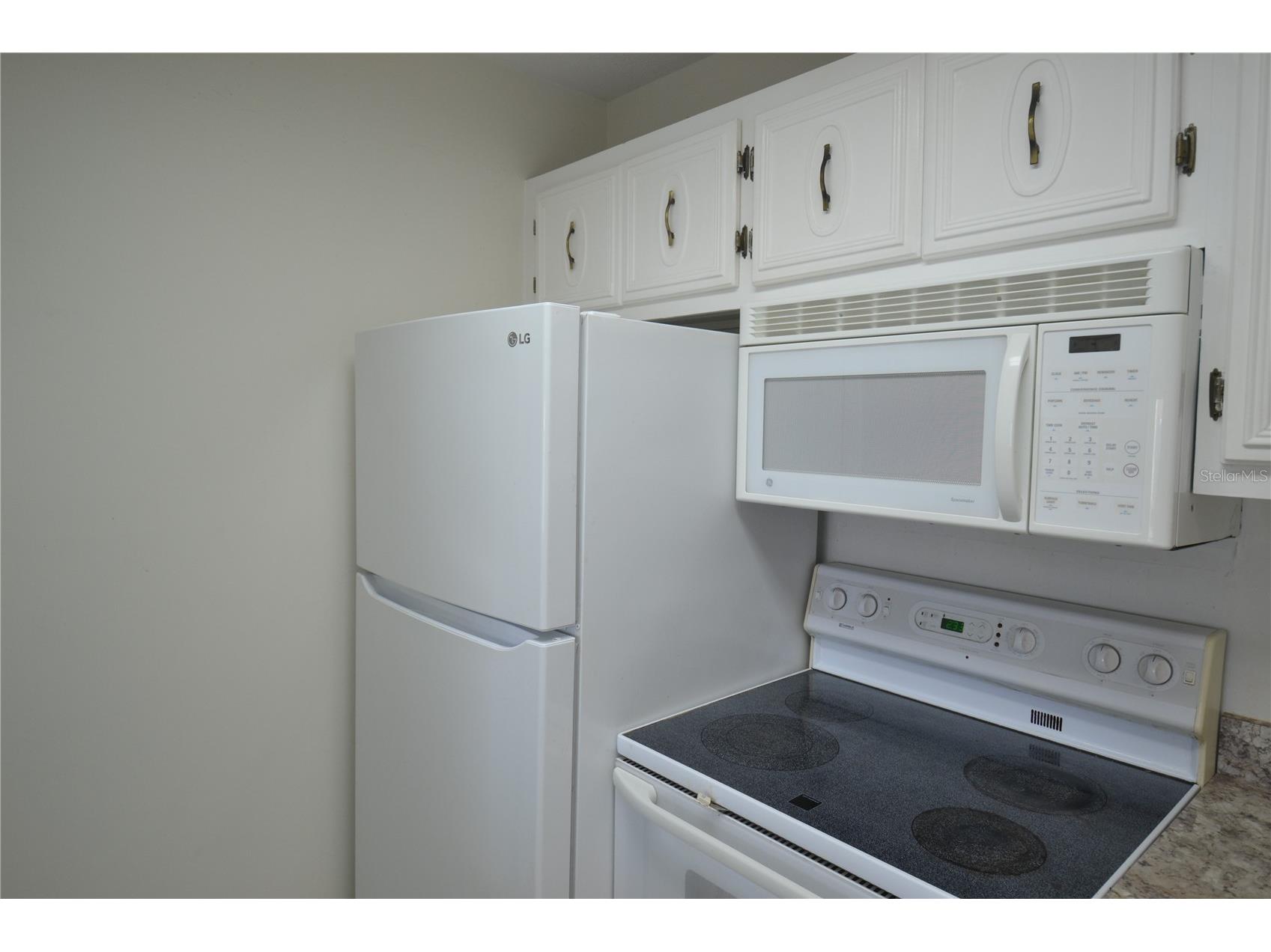 329 Moorings Cove Drive Tarpon Springs FL 34689 TB8510706 image5