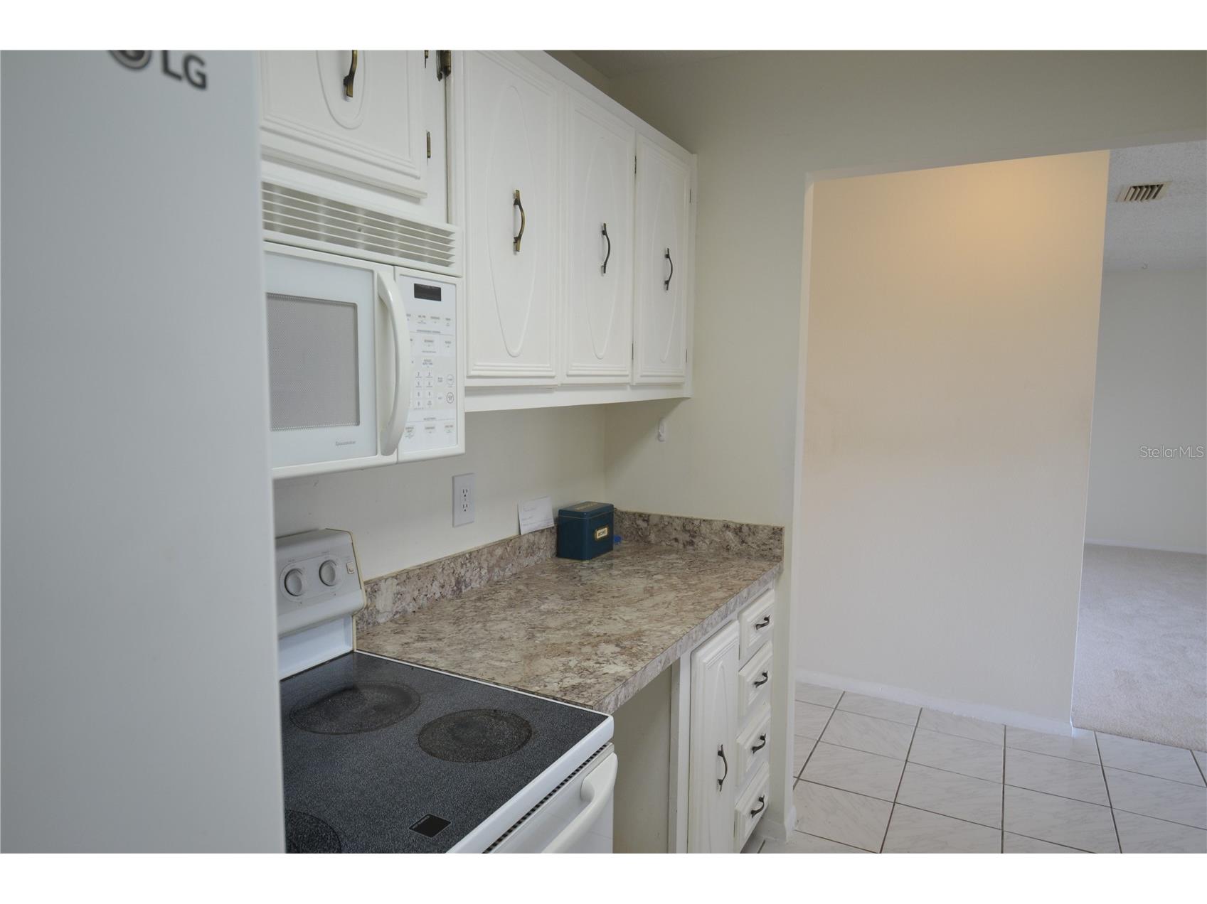 329 Moorings Cove Drive Tarpon Springs FL 34689 TB8510706 image6