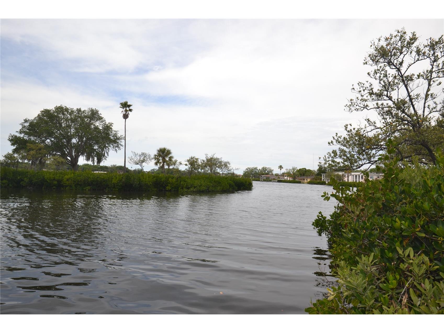 329 Moorings Cove Drive Tarpon Springs FL 34689 TB8510706 image62