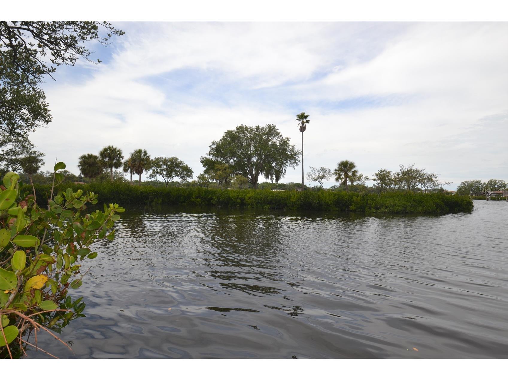 329 Moorings Cove Drive Tarpon Springs FL 34689 TB8510706 image63