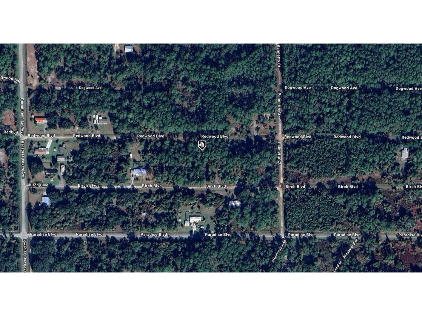 329 Redwood Boulevard Georgetown FL 32139 A4671139 image2