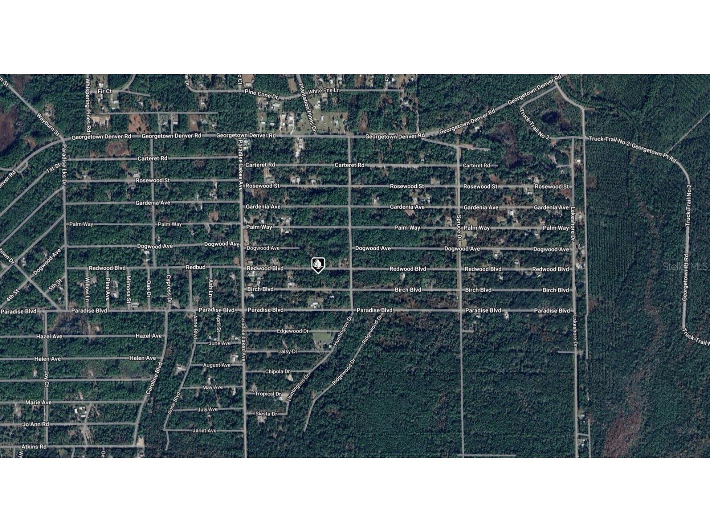 329 Redwood Boulevard Georgetown FL 32139 A4671139 image3