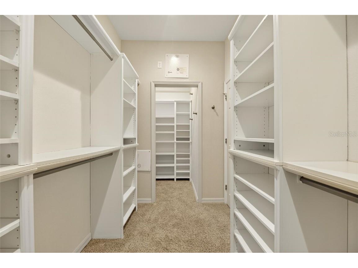 329 Seneca Falls Drive Apollo Beach FL 33572 TB8447388 image19