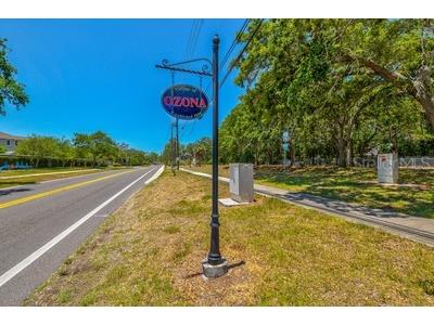 329 Sunset Way Palm Harbor FL 34683 W7865638 image64