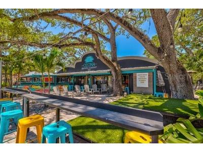 329 Sunset Way Palm Harbor FL 34683 W7865638 image66