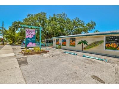 329 Sunset Way Palm Harbor FL 34683 W7865638 image69