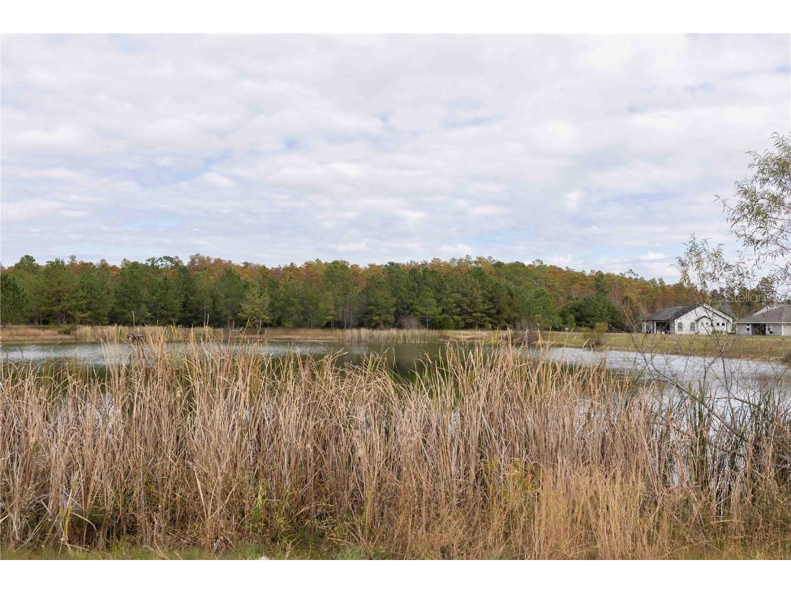 329 SW Silver Palm Drive Lake City FL 32024 GC535068 image12