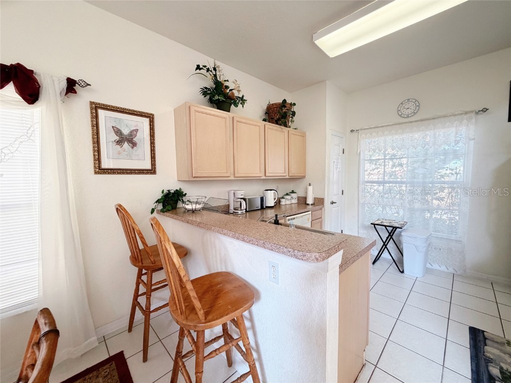 329 Windsor Place Davenport FL 33896 O6365721 image17