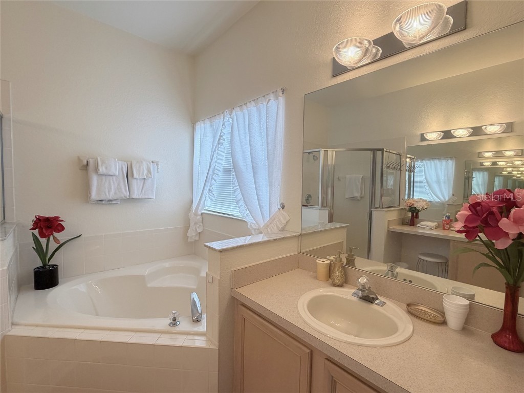 329 Windsor Place Davenport FL 33896 O6365721 image36