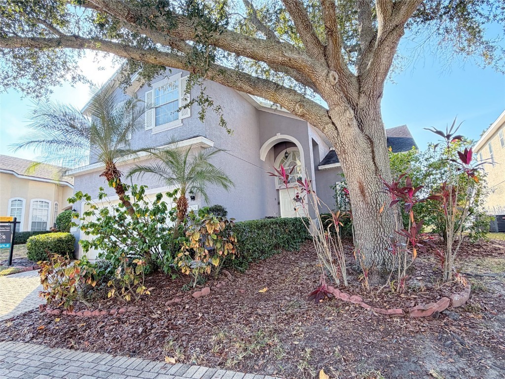 329 Windsor Place Davenport FL 33896 O6365721 image4