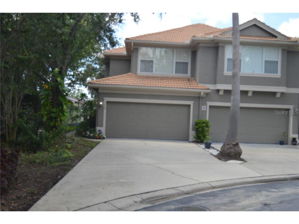 3290 Covered Bridge Drive W Dunedin FL 34698 TB8420691 image1