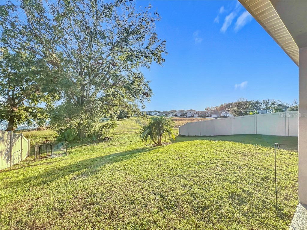 3290 Logan Berry Drive Mount Dora FL 32757 O6262229 image47