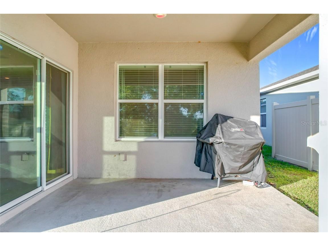 3290 Logan Berry Drive Mount Dora FL 32757 O6262229 image48