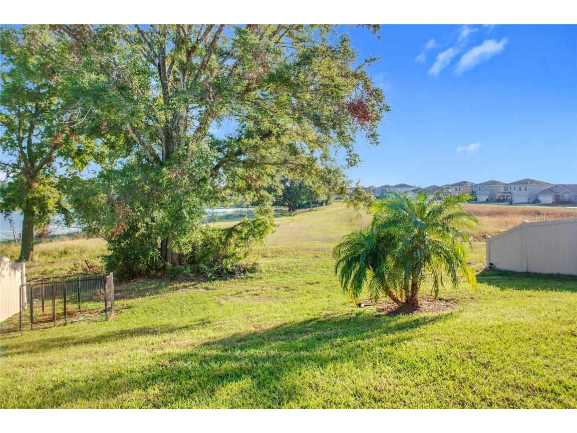 3290 Logan Berry Drive Mount Dora FL 32757 O6262229 image51