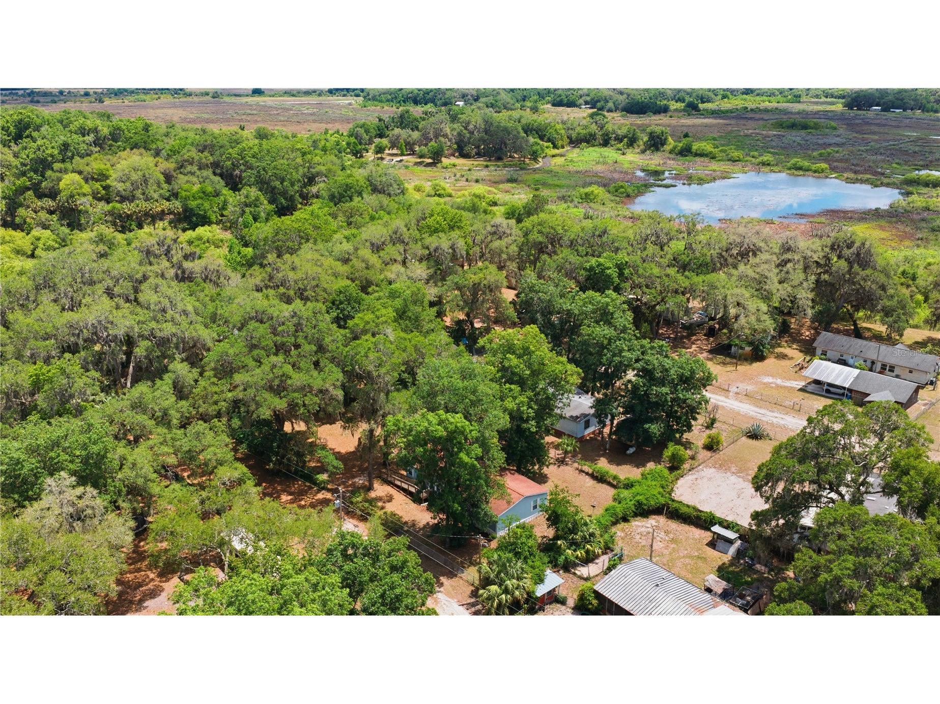 3290 NE 161st Street Citra FL 32113 OM723778 image2