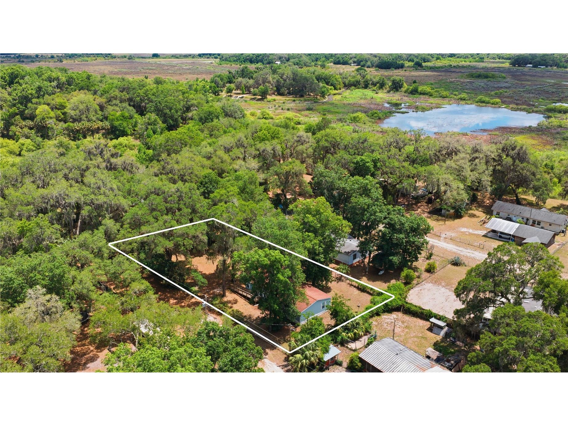 3290 NE 161st Street Citra FL 32113 OM723778 image3