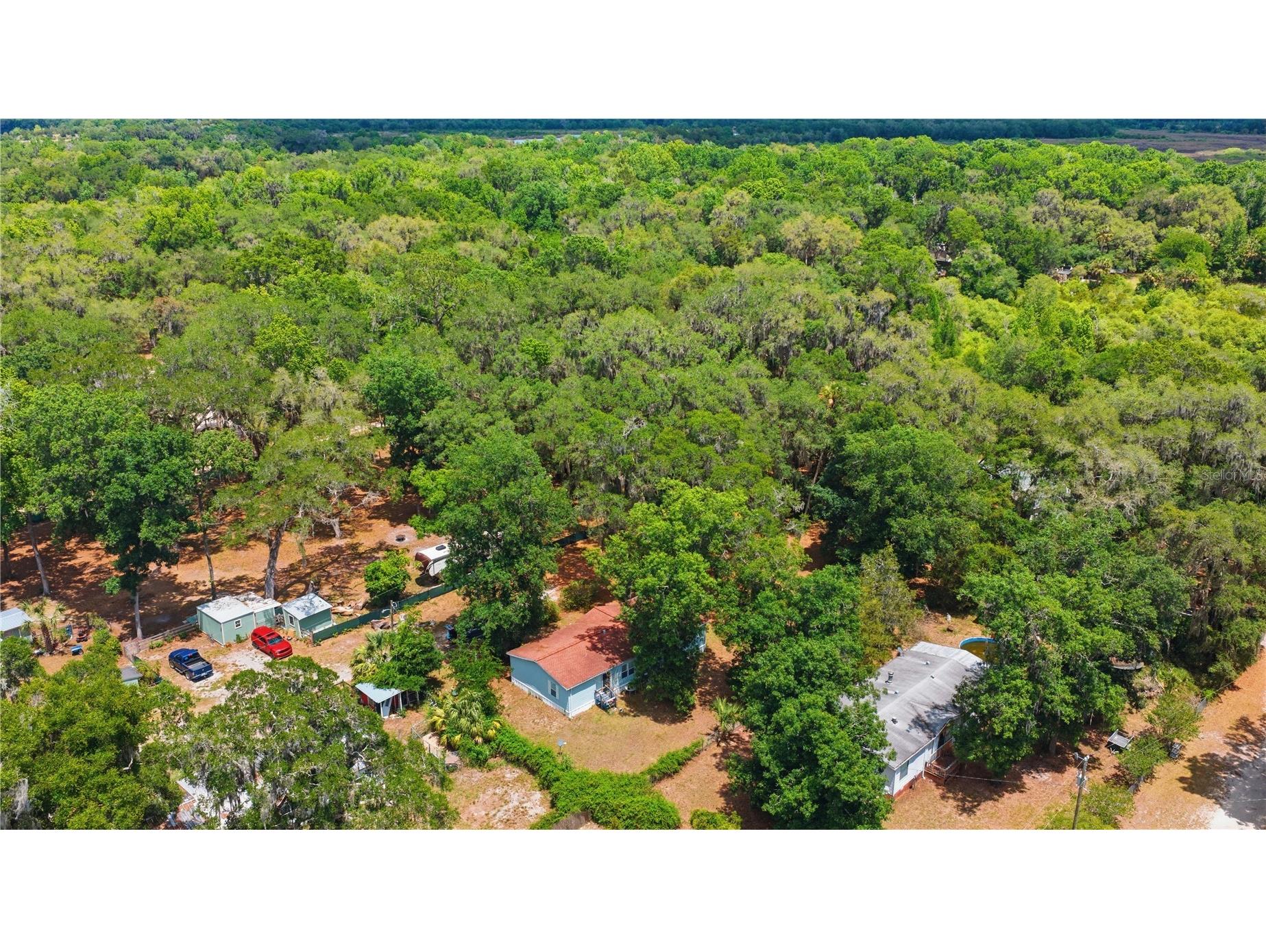 3290 NE 161st Street Citra FL 32113 OM723778 image4