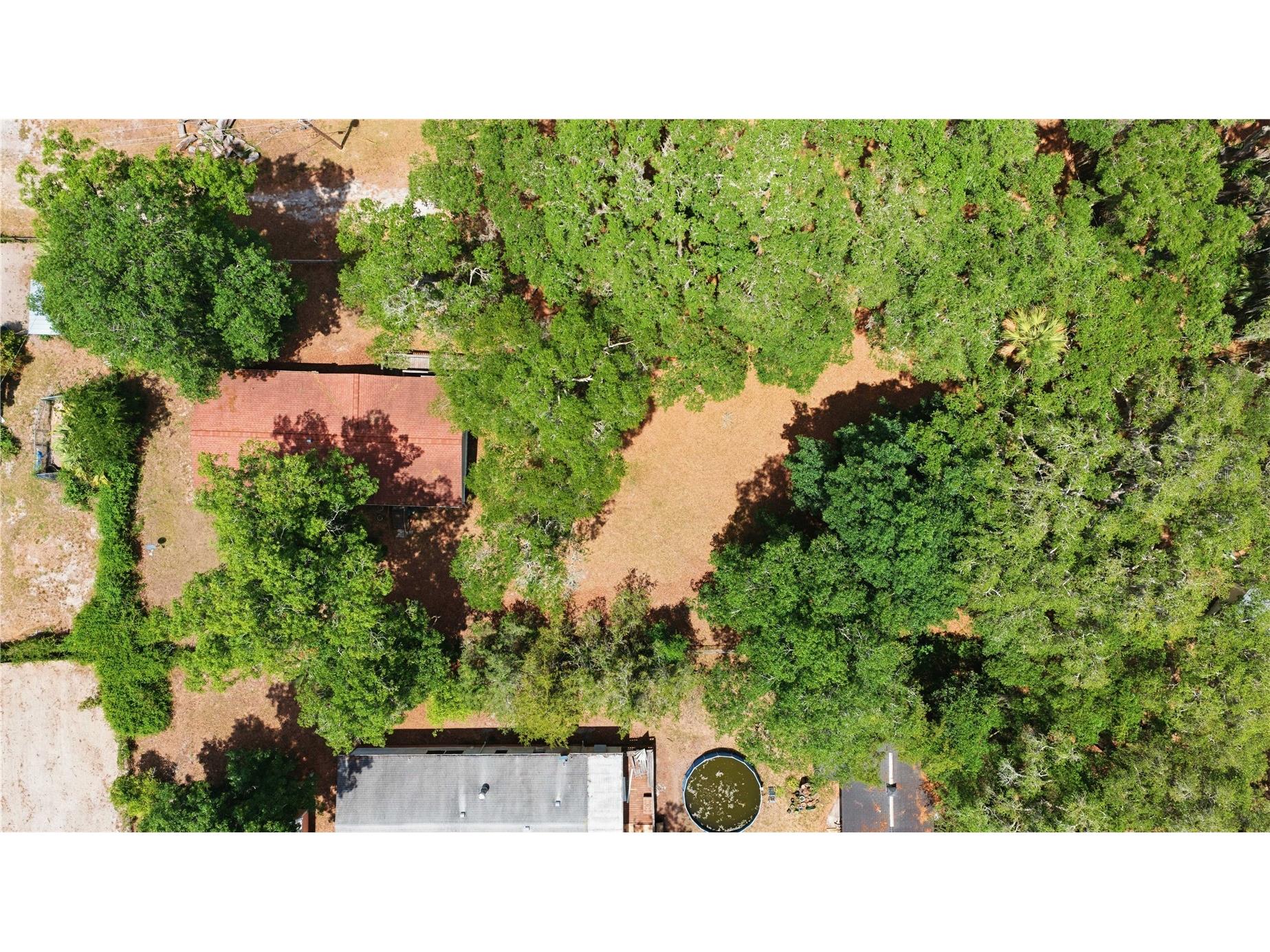 3290 NE 161st Street Citra FL 32113 OM723778 image5